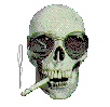 zevon.gif (9588 bytes)
